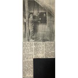 Work on repairing the model Maori Pa at Temuka is progressing well