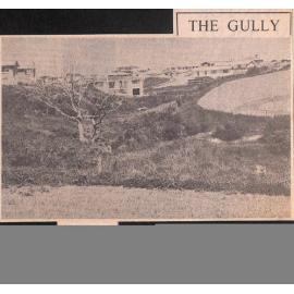 The Gully: Decision on Problem Gully Delaying Land Subdivision