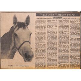 Washdyke Wonder retires