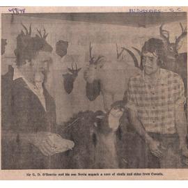 Taxidermy flourishing as emphasis switches