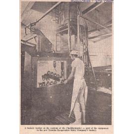 Automation Helps; Many stages in making of cheddar cheese