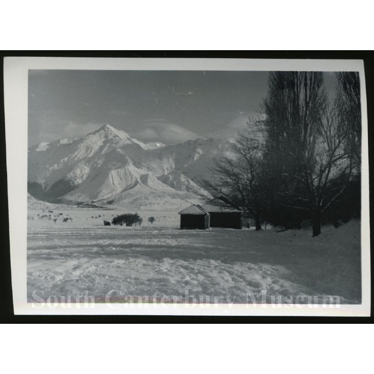 Mt Cook Station