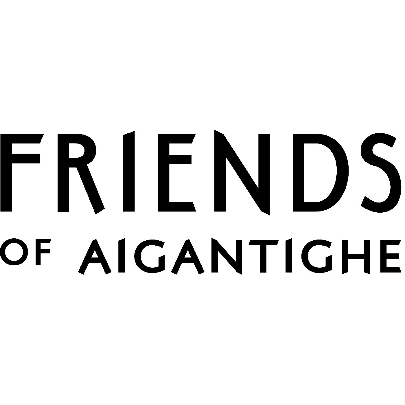 Friends of the Aigantighe Art Gallery