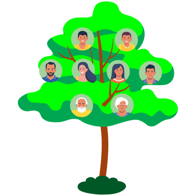 Family History Collection