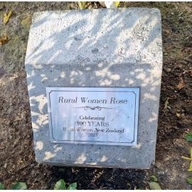 Rural Women Rose