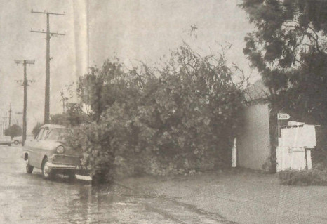 Photograph published in The Timaru Herald 30 Jul 2005
