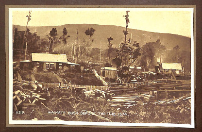Waimate Bush before the fire. Image from 'Waimate, South Canterbury, New Zealand 1863-1913' edited  by W.G. Russell.  Publication available on this site.