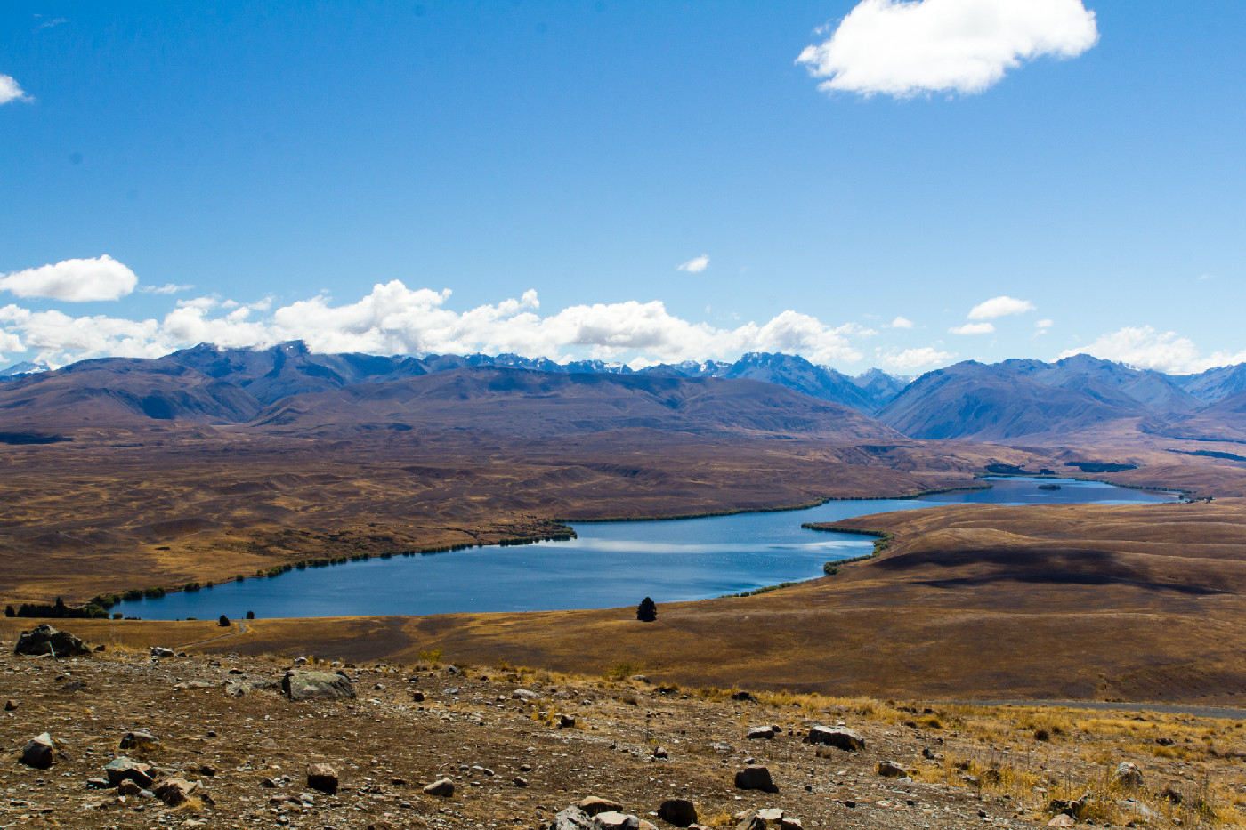 Image of Lake Alexandrina from Mt John by Oren Rozen, CC BY-SA 3.0 <https://creativecommons.org/licenses/by-sa/3.0>, via Wikimedia Commons
