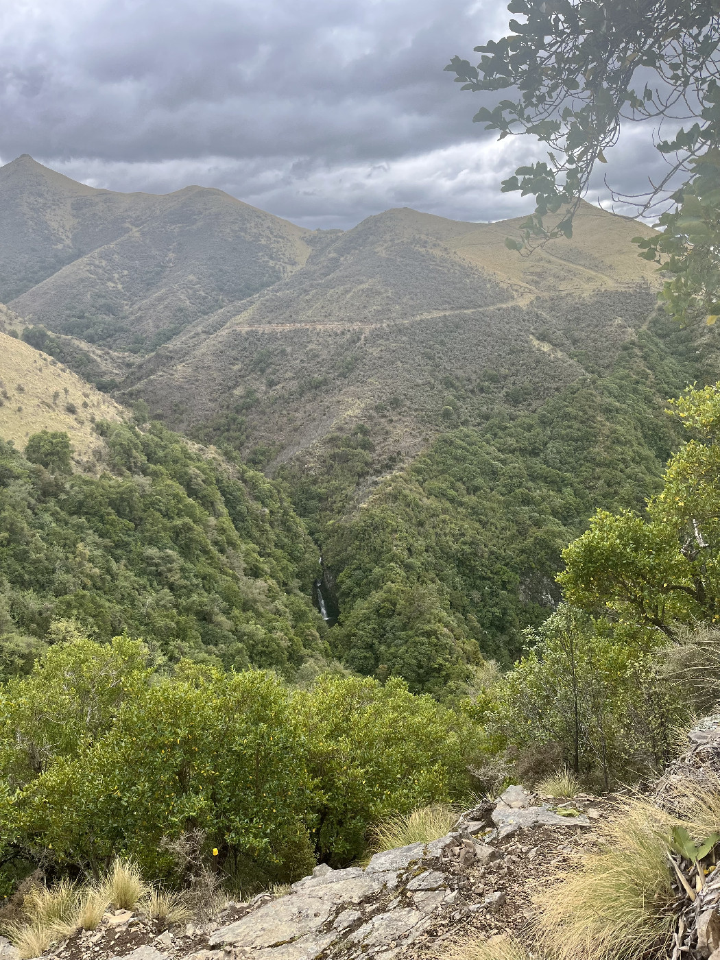 TDL image, taken near Mt Nimrod Oct 2023.