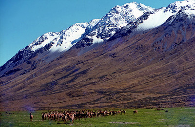 Lilybank Station, 2006, By Phillip Capper.

https://creativecommons.org/licenses/by/2.0/