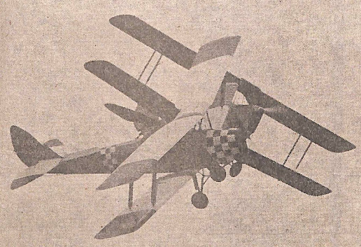 Image from The Timaru Herald 26 Mar 1974.