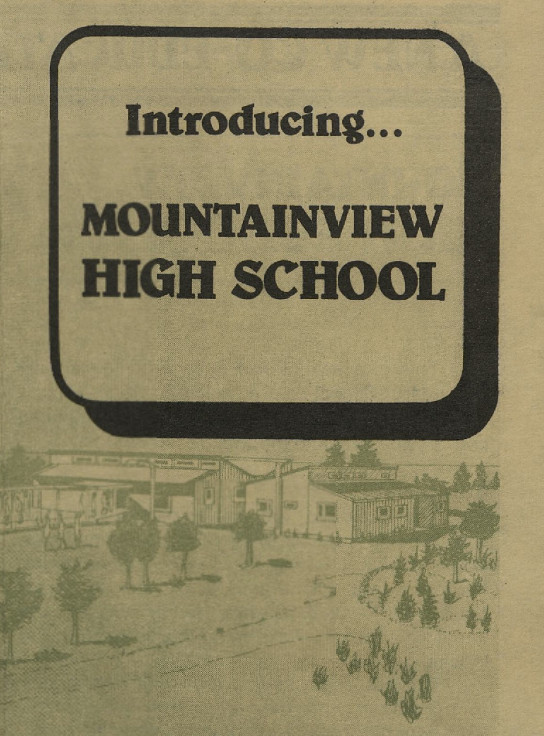 The 'New Pages Road School': Timaru College to Mountainview High School